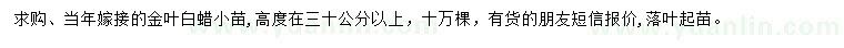 求購(gòu)高30公分以上金葉白蠟