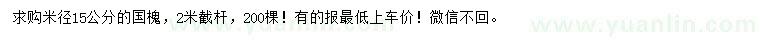 求購米徑15公分國槐