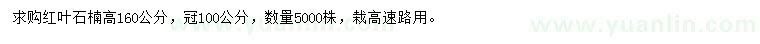 求購高160公分紅葉石楠