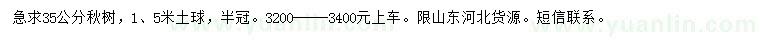 求購35公分楸樹