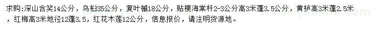 求購深山含笑、烏桕、復(fù)葉槭等