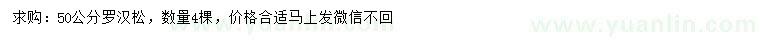 求購50公分羅漢松