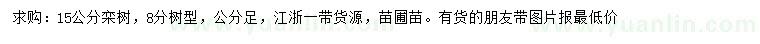 求購15公分欒樹
