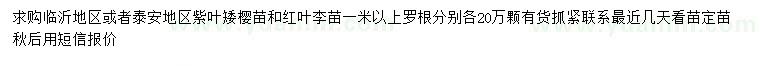 求購1米以上紫葉矮櫻、紅葉李