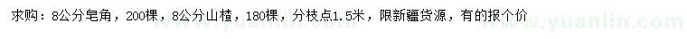 求購(gòu)8公分皂角、山楂樹(shù)