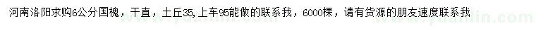 求購6公分國槐