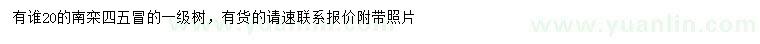 求購(gòu)20公分南欒
