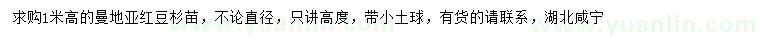 求購高1米曼地亞紅豆杉