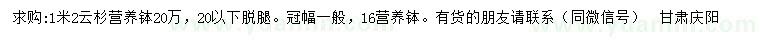 求購1.2米云杉