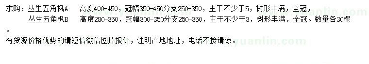 求購高2.8-3.5、4-4.5米叢生五角楓