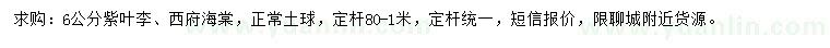 求購6公分紫葉李、西府海棠