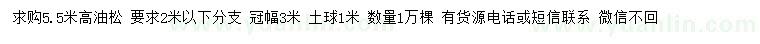 求購高5.5米油松