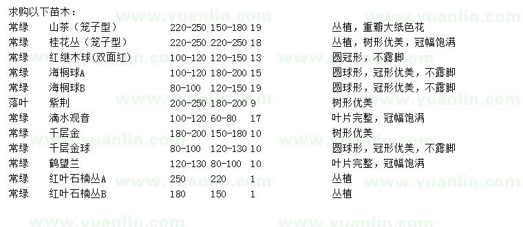 求購(gòu)山茶、桂花、紅花繼木球等