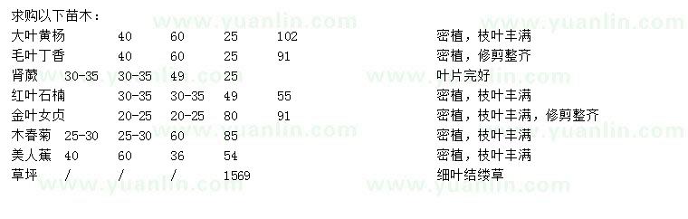 求購大葉黃楊、毛葉丁香、腎蕨等