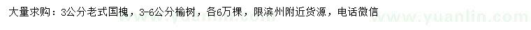 求購3公分老式國槐、3-6公分榆樹