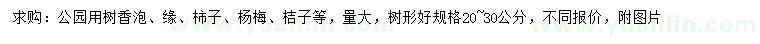 求購香泡、香櫞、柿子樹等