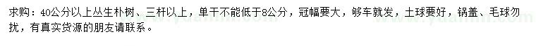 求購40公分以上叢生樸樹