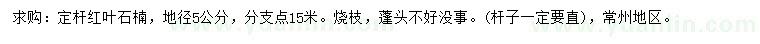 求購(gòu)地徑5公分紅葉石楠