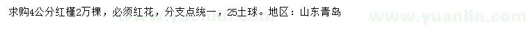 求購(gòu)4公分紅槿
