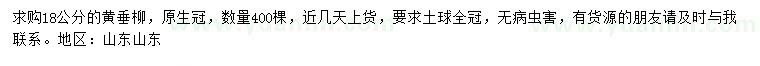 求購18公分黃垂柳