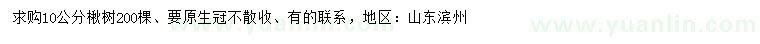 求購10公分楸樹