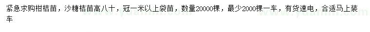 求購(gòu)高80公分柑桔苗、沙糖桔苗