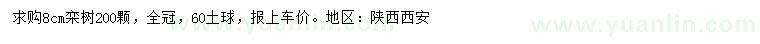 求購8公分欒樹