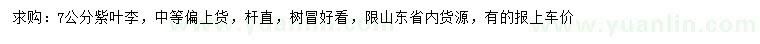求購7公分紫葉李
