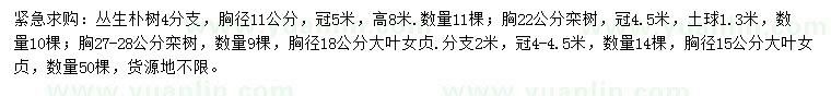 求購叢生樸樹、欒樹、大葉女貞