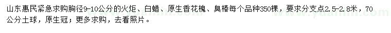 求購火炬樹、白蠟、原生香花槐等