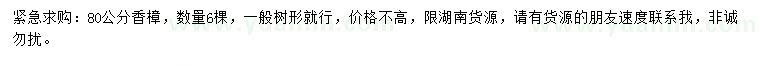求購(gòu)80公分香樟