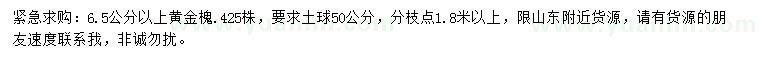 求購(gòu)6.5公分以上黃金槐