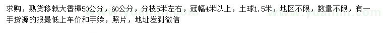 求購50、60公分大香樟
