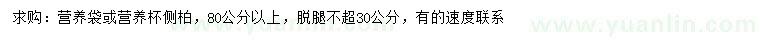求購80公分以上側(cè)柏