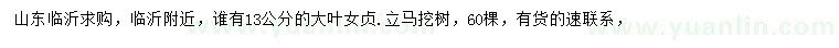 求購13公分大葉女貞