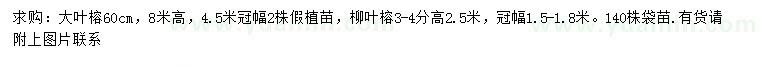 求購60公分大葉榕、3-4公分柳葉榕