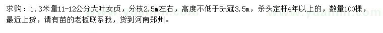 求購1.3米量11-12公分大葉女貞