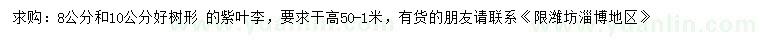 求購8、10公分紫葉李