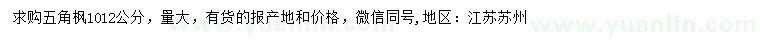 求購10、12公分五角楓