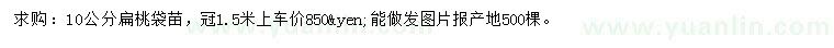 求購10公分扁桃袋苗