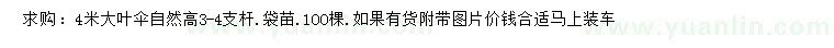 求購4米大葉傘