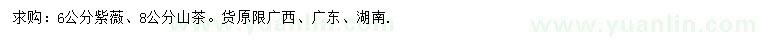 求購6公分紫薇、8公分山茶