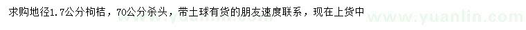 求購地徑1.7公分枸桔樹