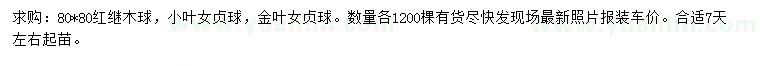求購紅繼木球、小葉女貞球、金葉女貞球