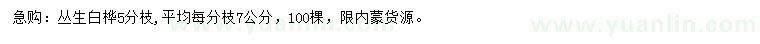 求購叢生白樺