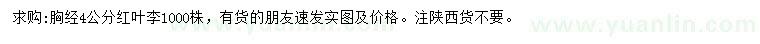 求購胸徑4公分紅葉李