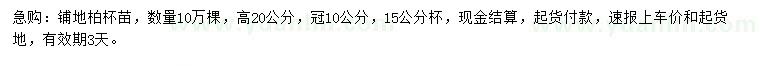 求購高20公分鋪地柏