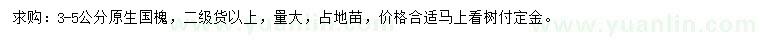 求購3-5公分原生國槐