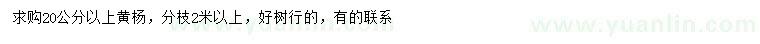 求購20公分以上黃楊