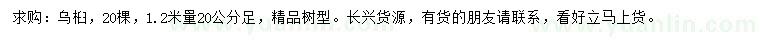 求購1.2米量20公分烏桕